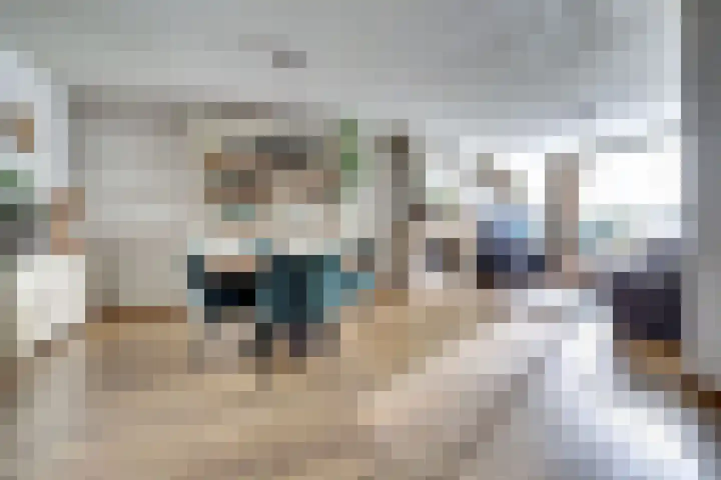 Rembrandtstraat 49 Vlijmen thumbnail 18