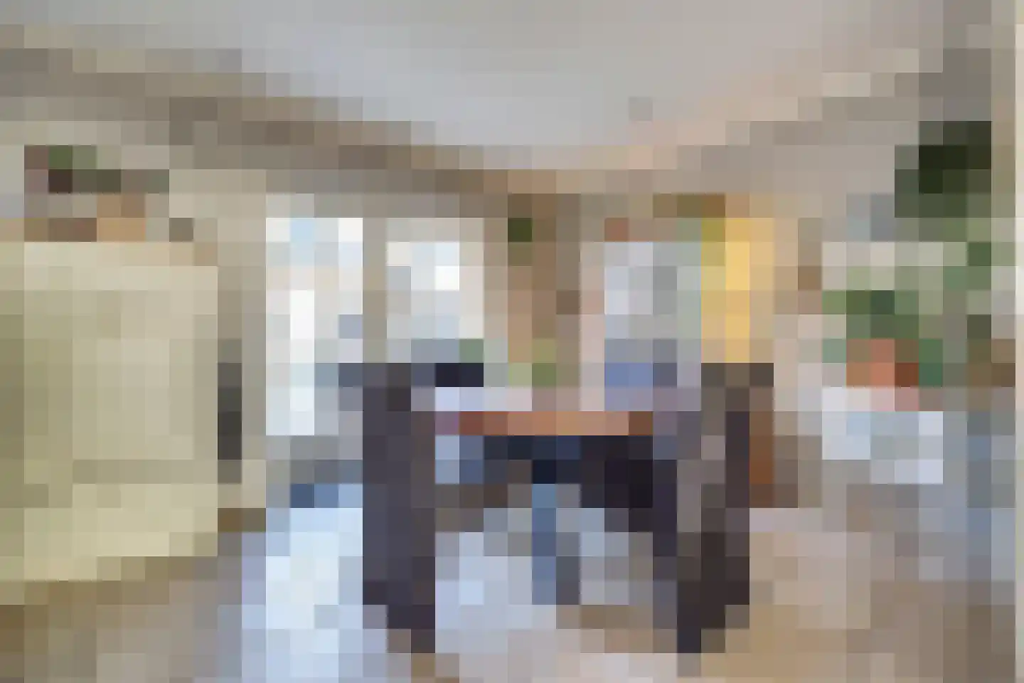 Rembrandtstraat 49 Vlijmen thumbnail 20