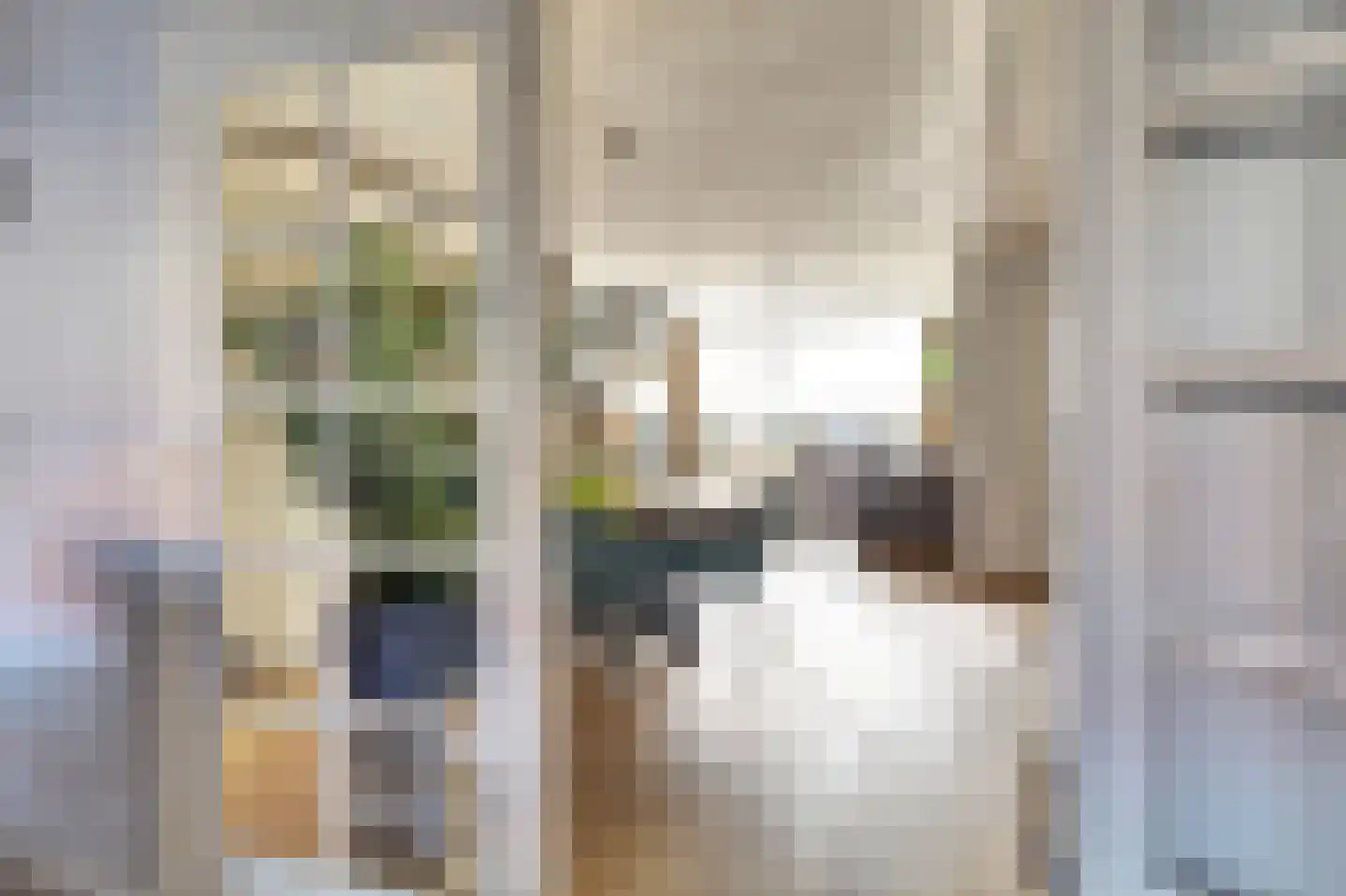 Rembrandtstraat 49 Vlijmen thumbnail 22