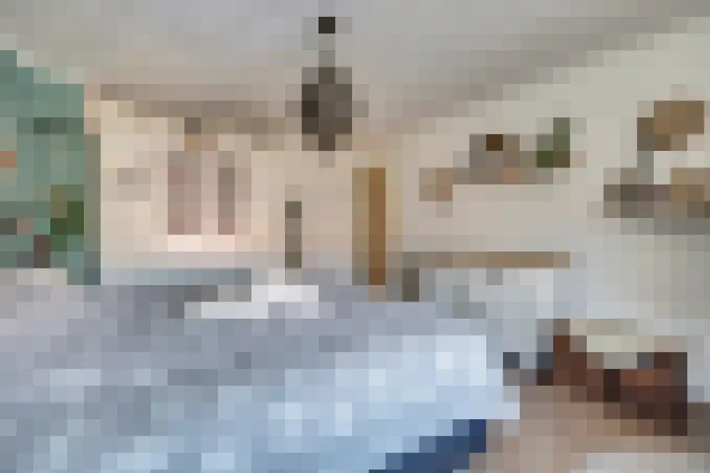Rembrandtstraat 49 Vlijmen thumbnail 30