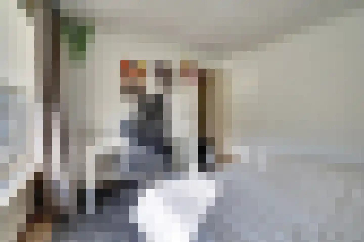 Rembrandtstraat 49 Vlijmen thumbnail 32