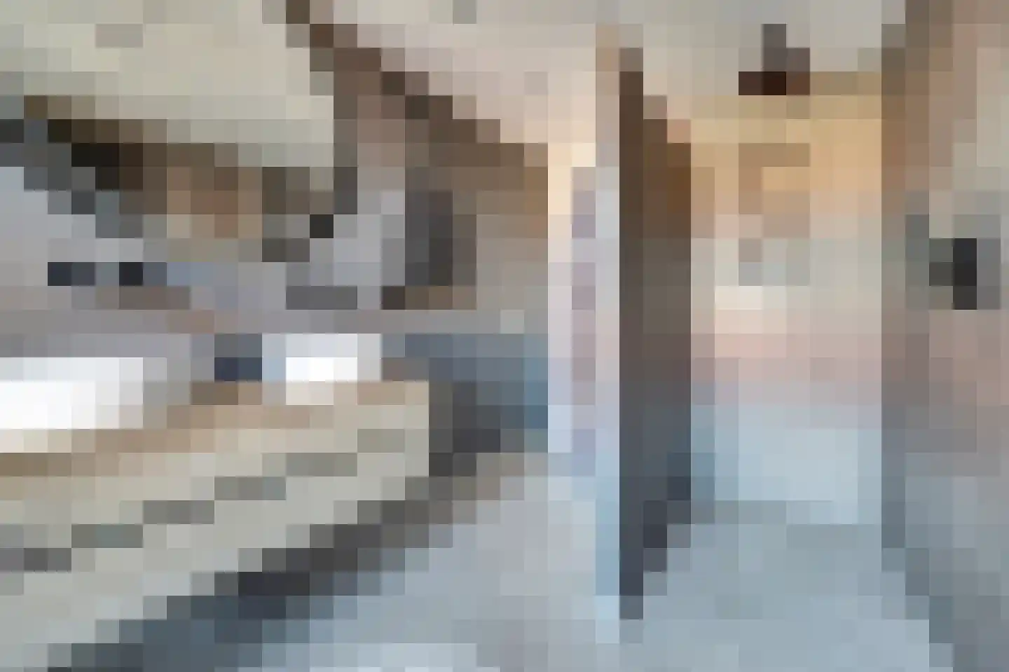 Rembrandtstraat 49 Vlijmen thumbnail 35