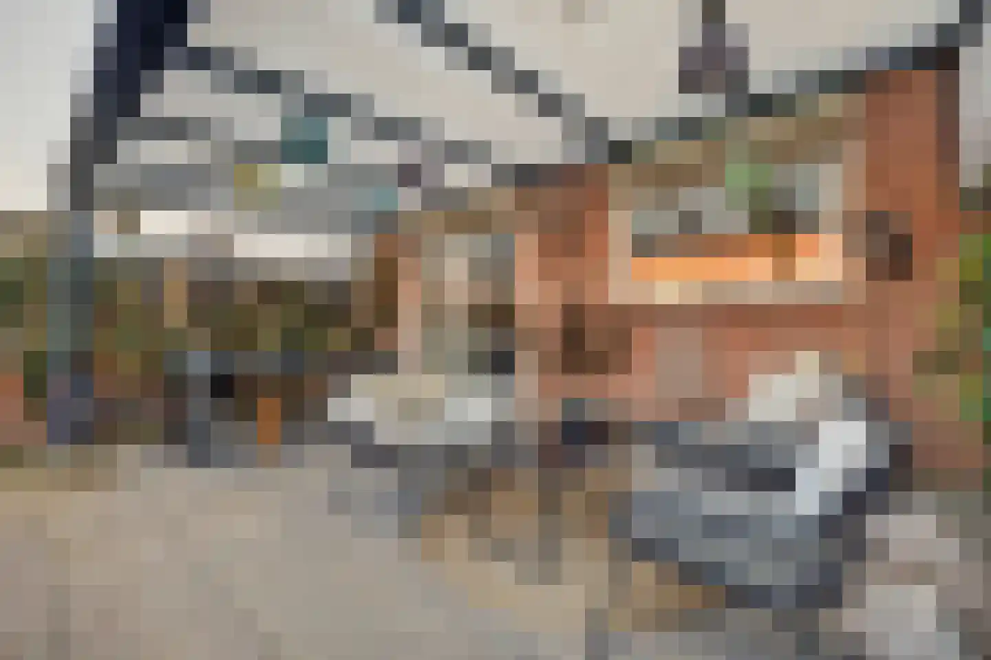 Rembrandtstraat 49 Vlijmen thumbnail 45