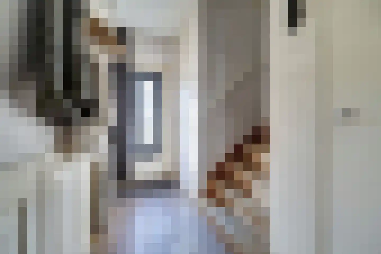 Rembrandtstraat 49 Vlijmen thumbnail 6