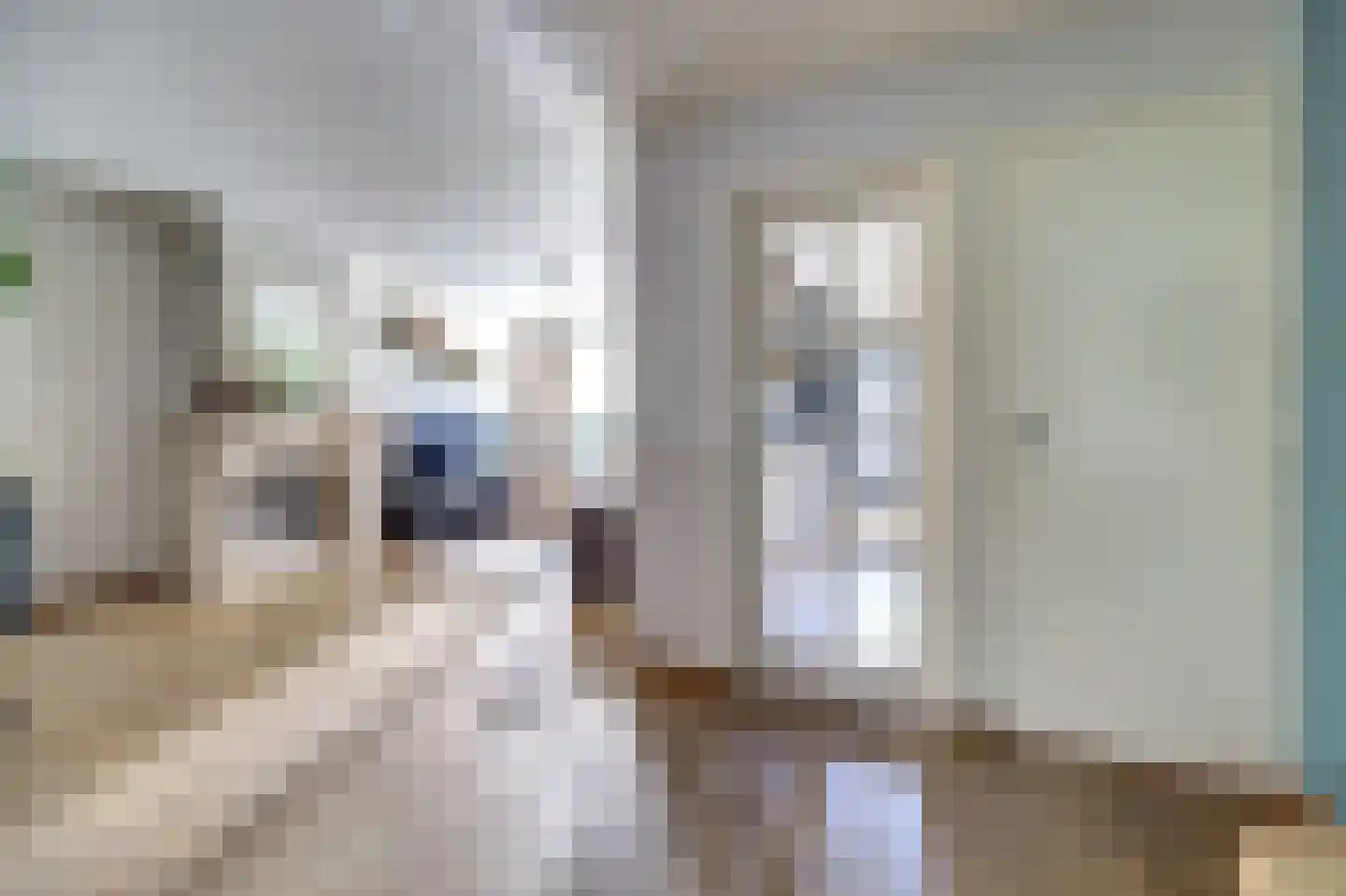 Rembrandtstraat 49 Vlijmen thumbnail 7