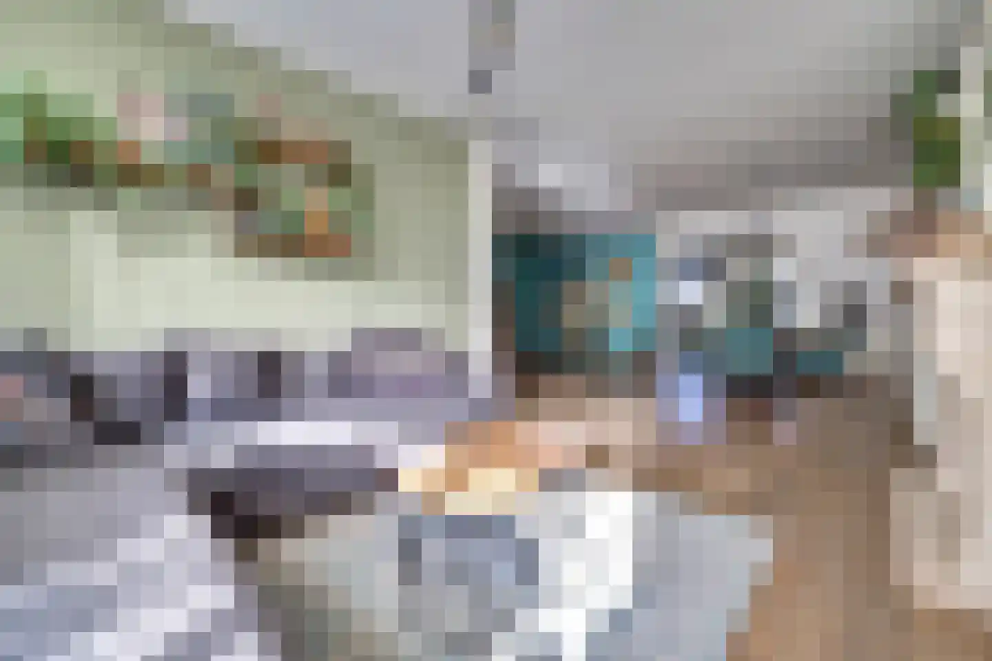 Rembrandtstraat 49 Vlijmen thumbnail 8
