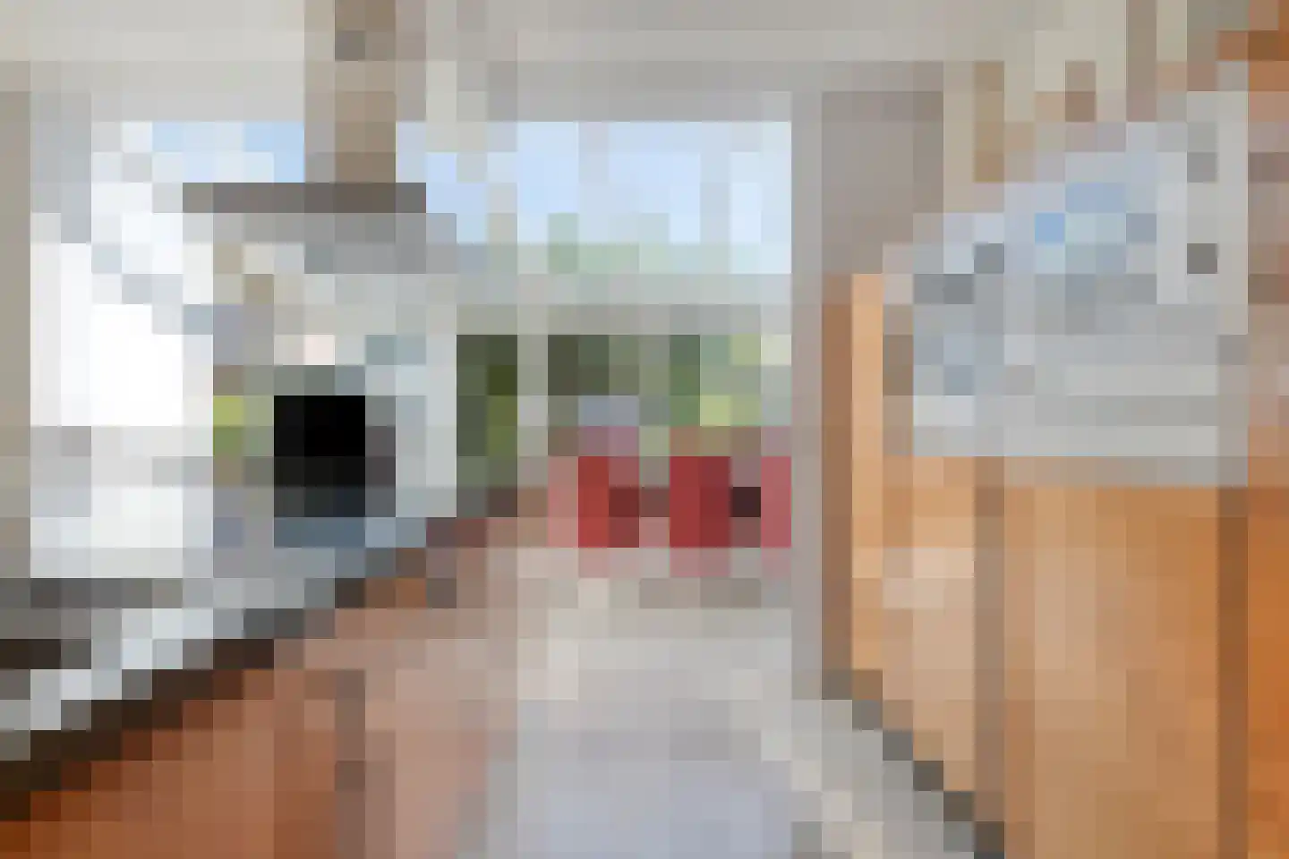 Rembrandtstraat 5 Baarlo thumbnail 11