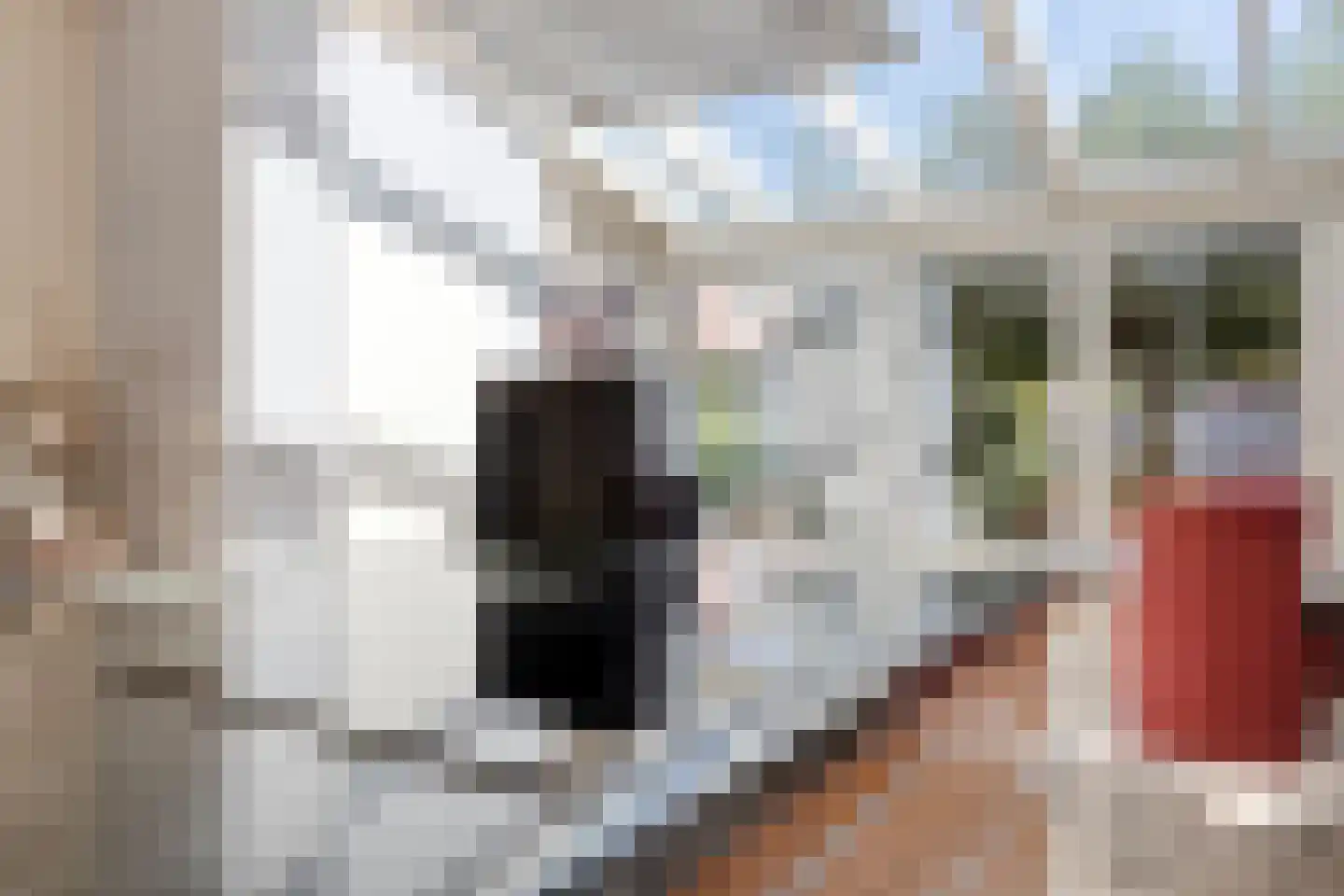 Rembrandtstraat 5 Baarlo thumbnail 12