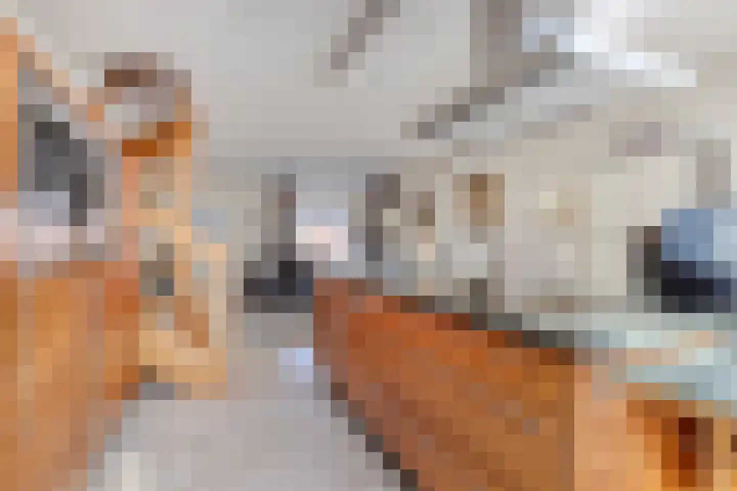 Rembrandtstraat 5 Baarlo thumbnail 13