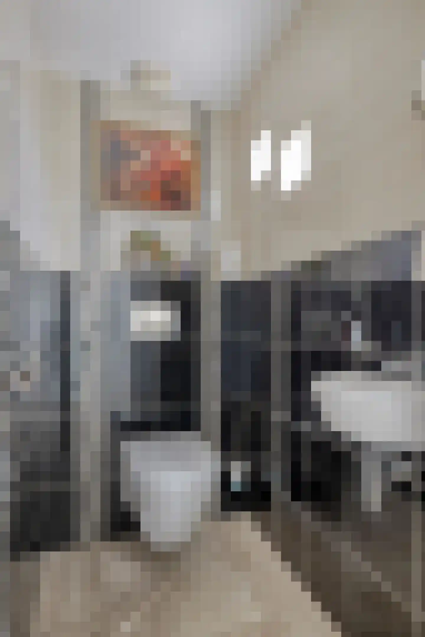 Rembrandtstraat 5 Baarlo thumbnail 17