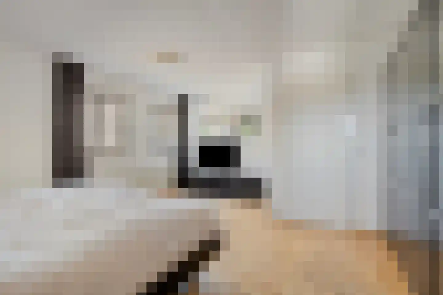 Rembrandtstraat 5 Baarlo thumbnail 25