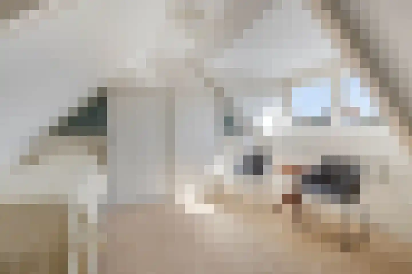 Rembrandtstraat 5 Baarlo thumbnail 32