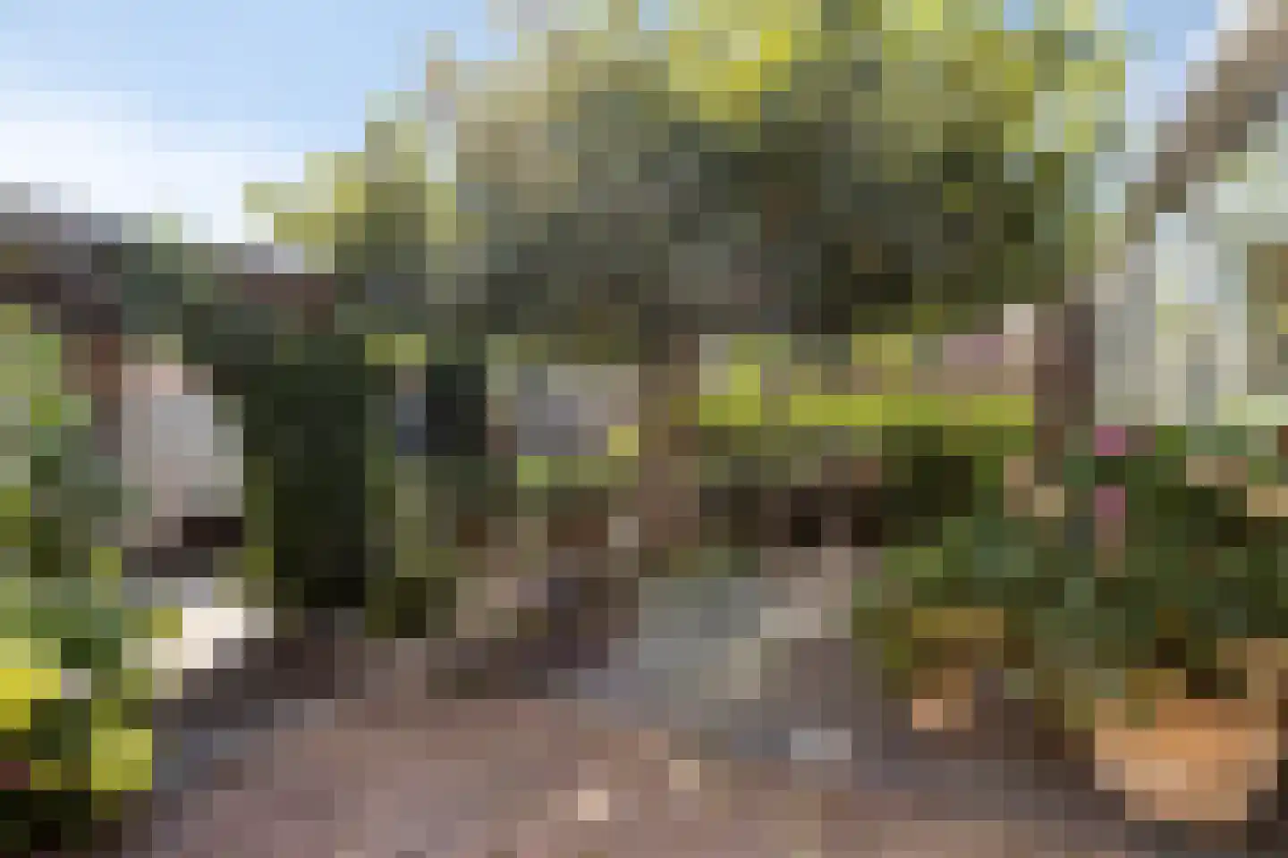 Rembrandtstraat 5 Baarlo thumbnail 34