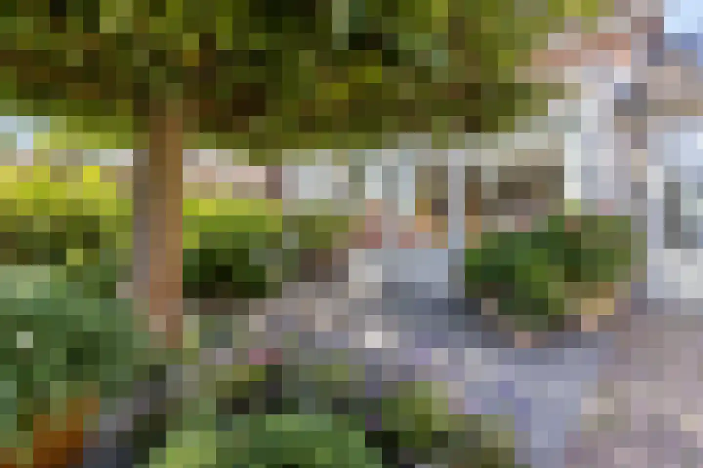 Rembrandtstraat 5 Baarlo thumbnail 36