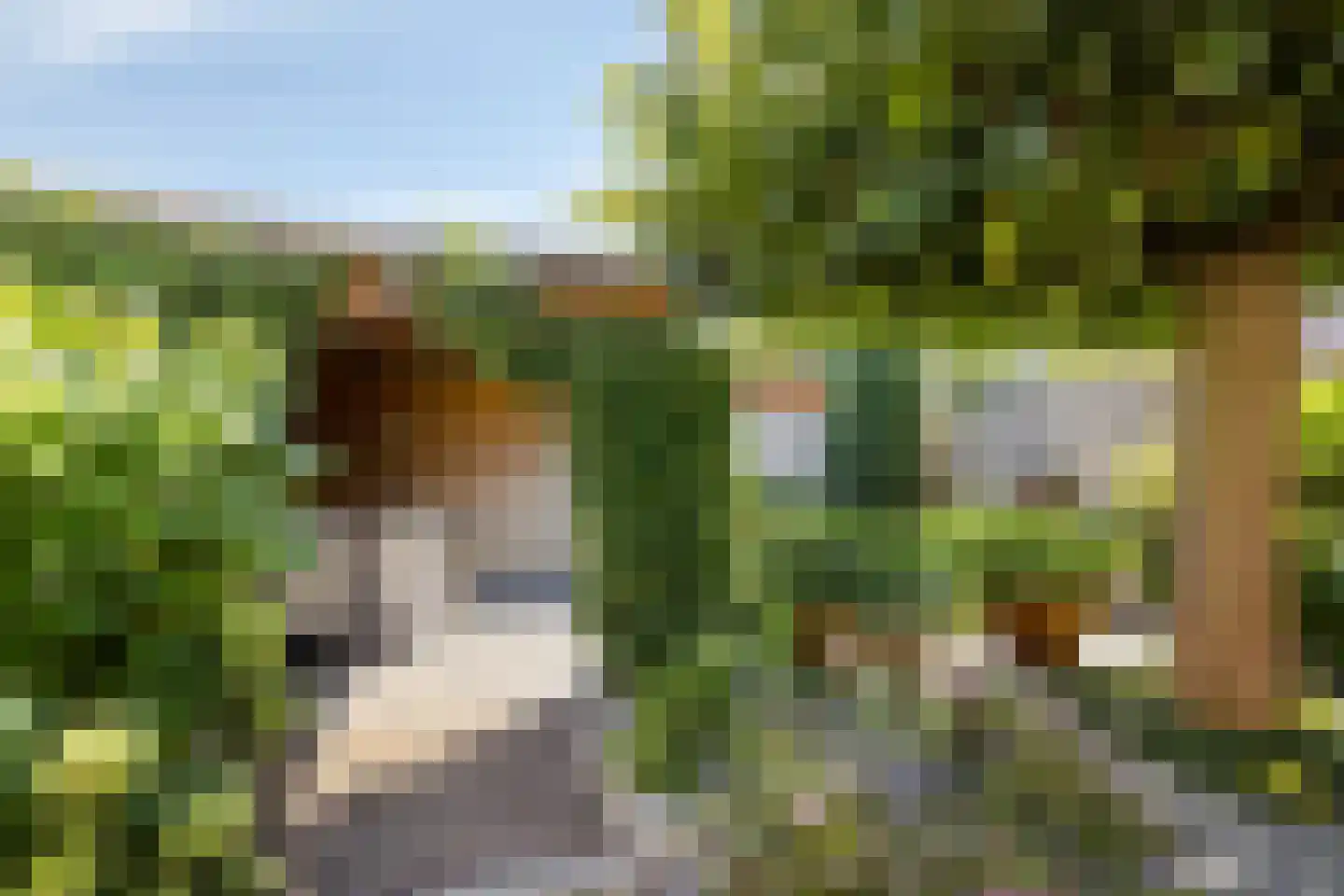 Rembrandtstraat 5 Baarlo thumbnail 37