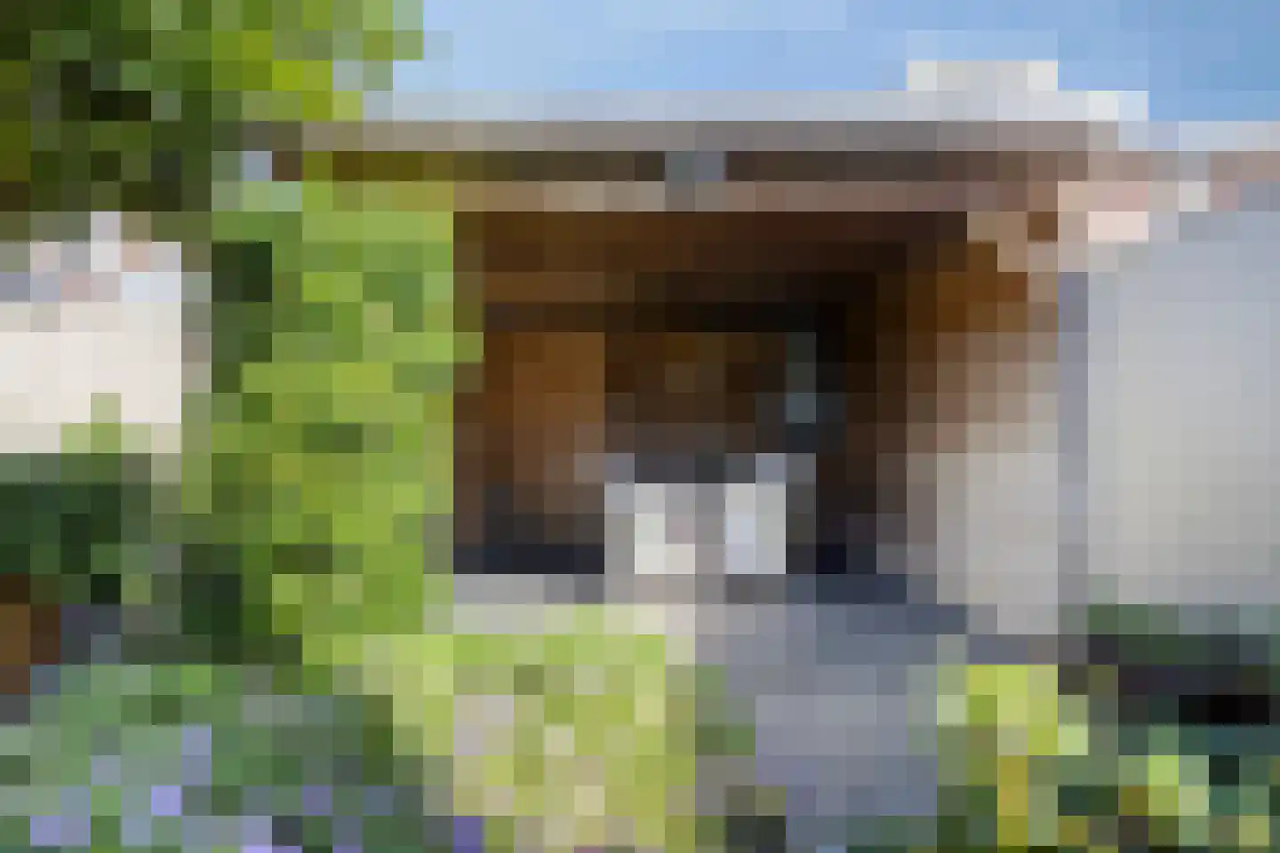 Rembrandtstraat 5 Baarlo thumbnail 38