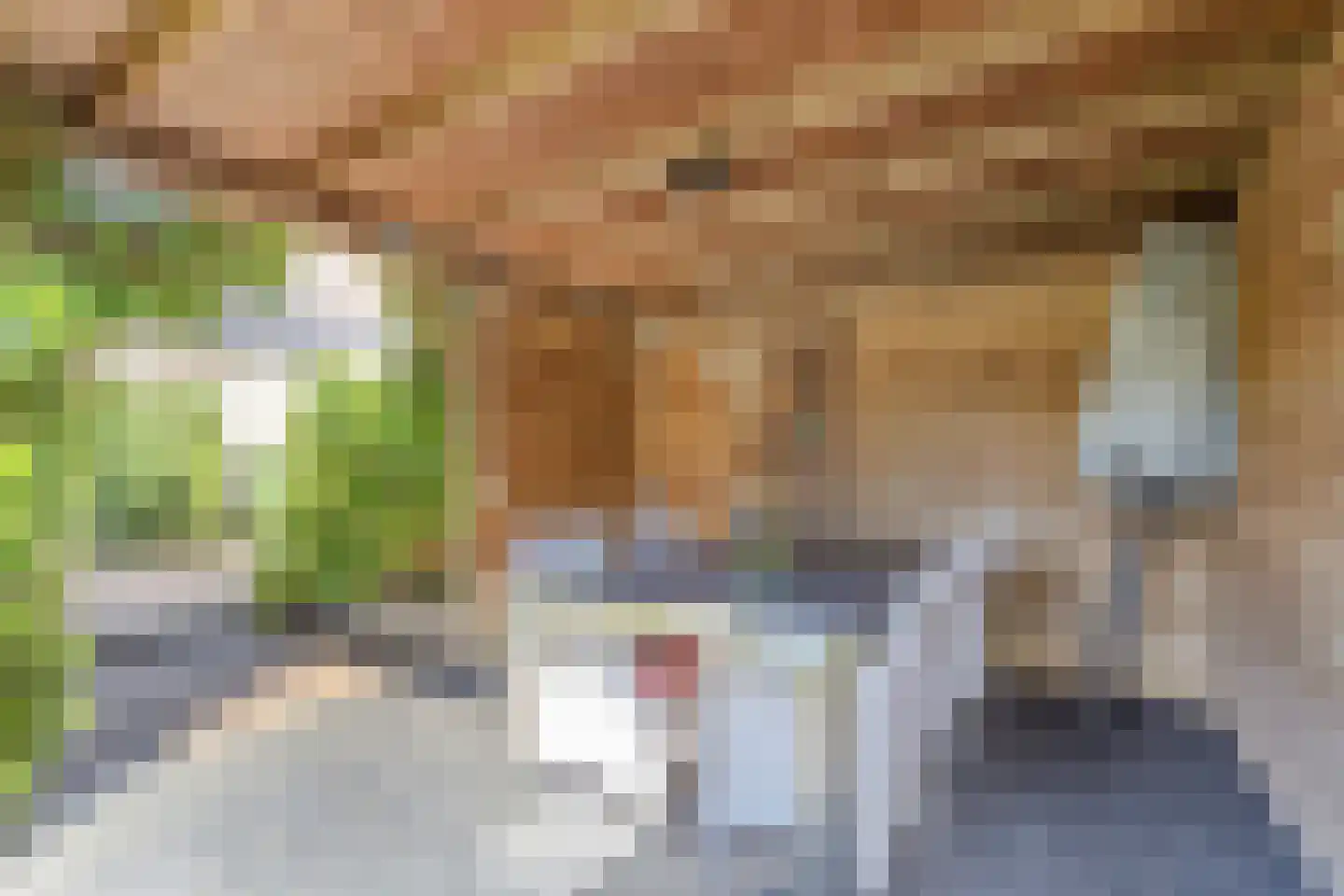 Rembrandtstraat 5 Baarlo thumbnail 39