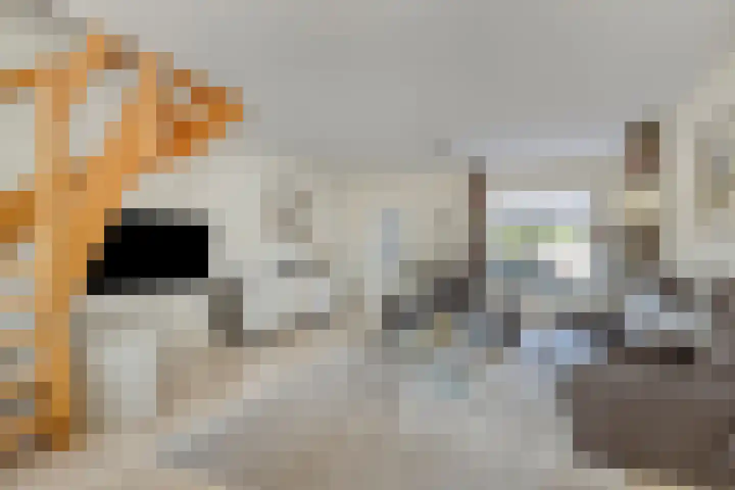 Rembrandtstraat 5 Baarlo thumbnail 7