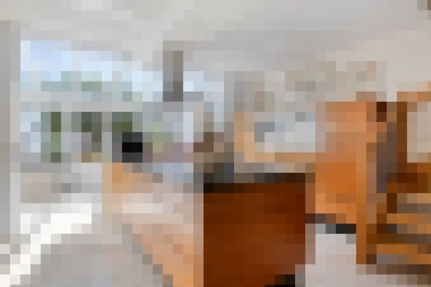 Rembrandtstraat 5 Baarlo thumbnail 9
