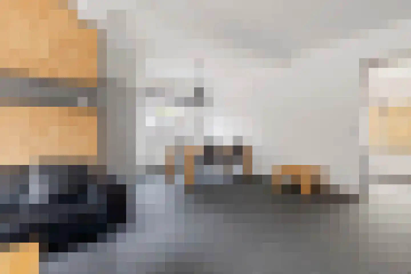 Rembrandtstraat 5 Elsloo thumbnail 17