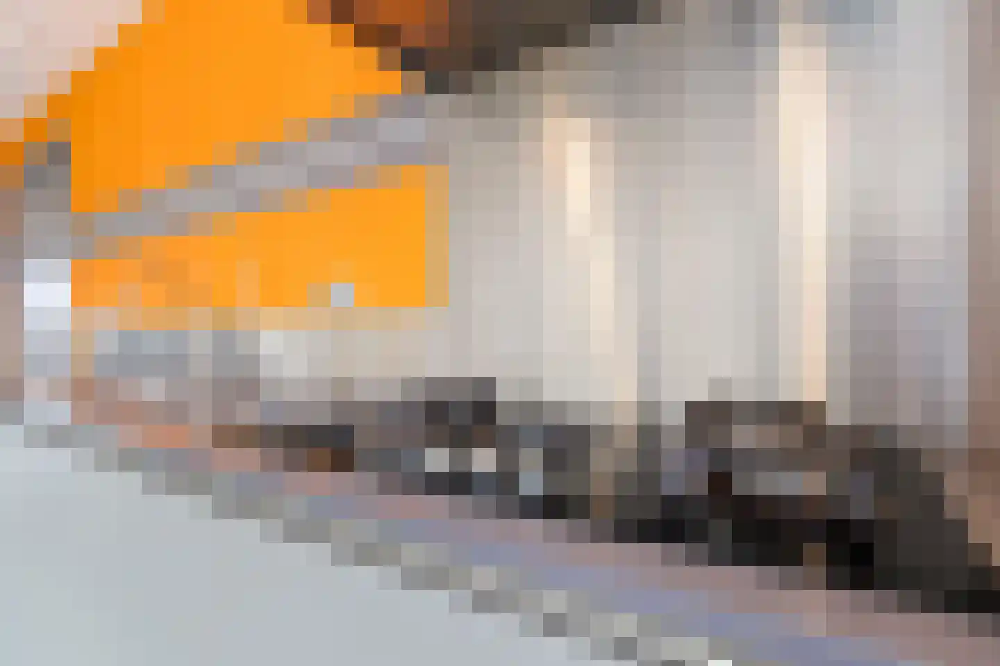 Rembrandtstraat 5 Elsloo thumbnail 22