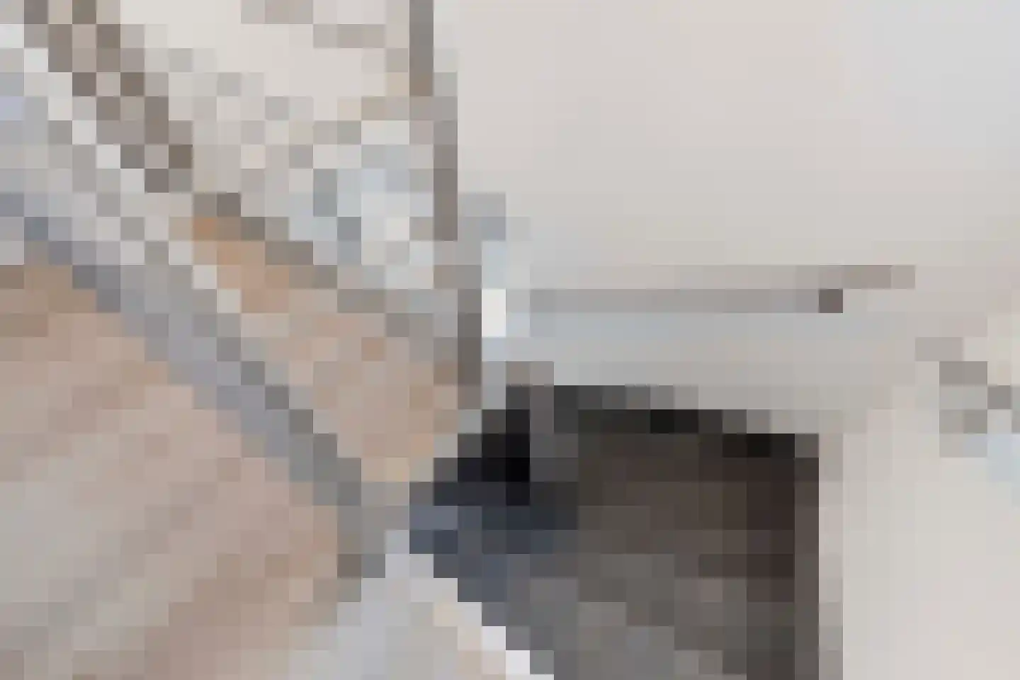 Rembrandtstraat 5 Elsloo thumbnail 25