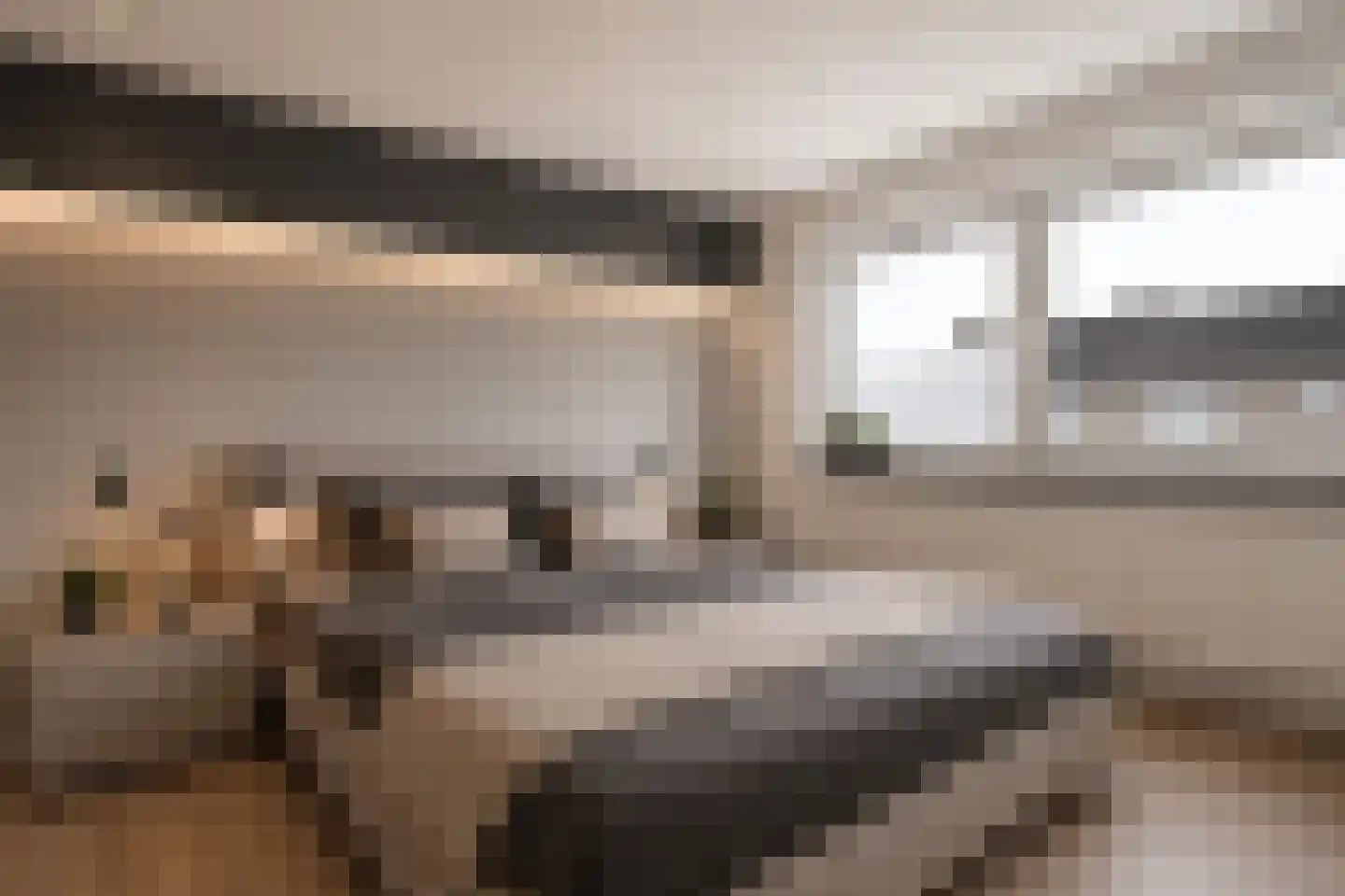 Rembrandtstraat 5 Elsloo thumbnail 28