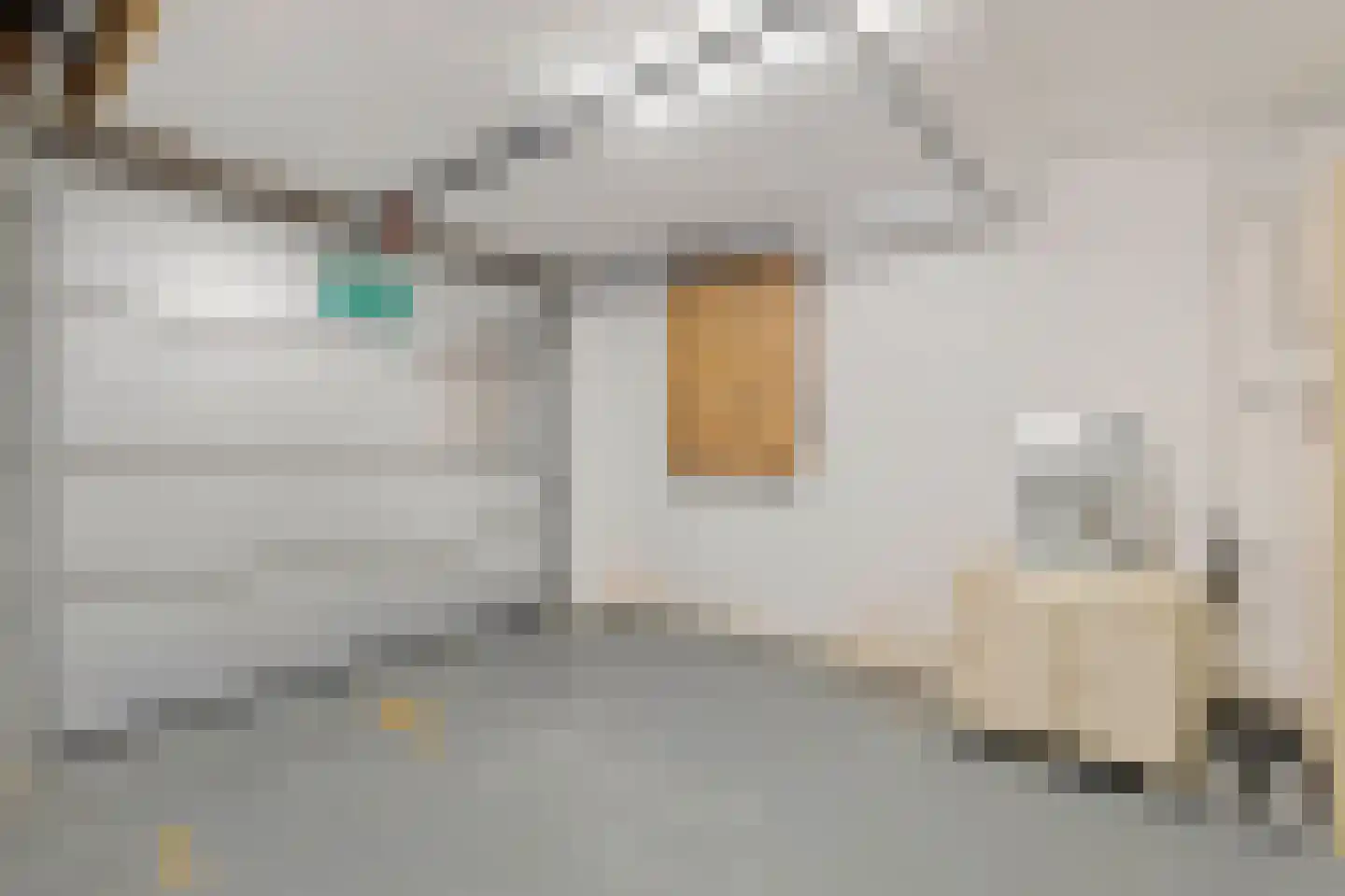 Rembrandtstraat 5 Elsloo thumbnail 40