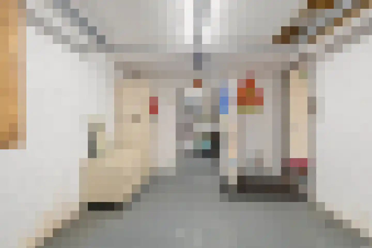 Rembrandtstraat 5 Elsloo thumbnail 41