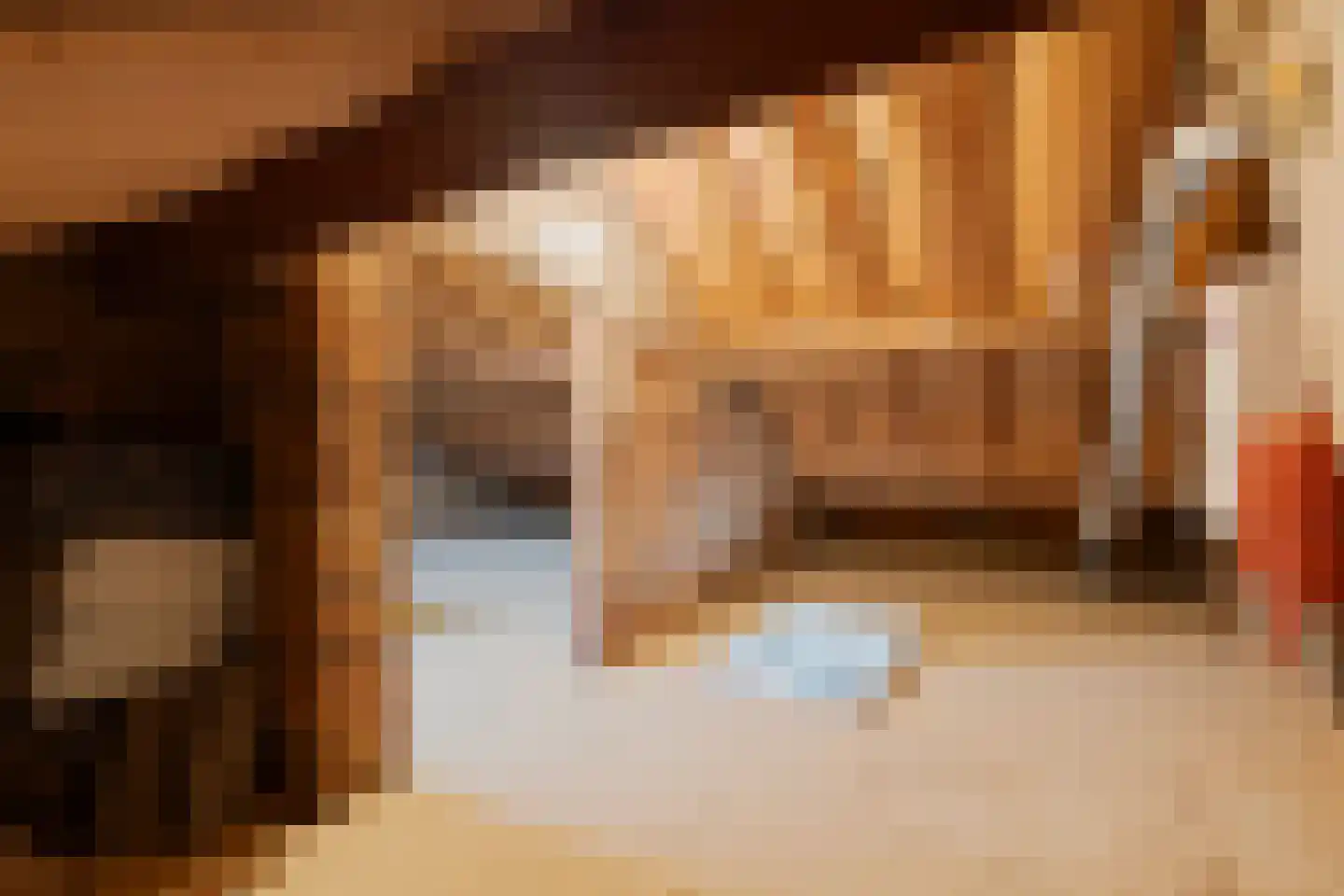 Rembrandtstraat 5 Elsloo thumbnail 43