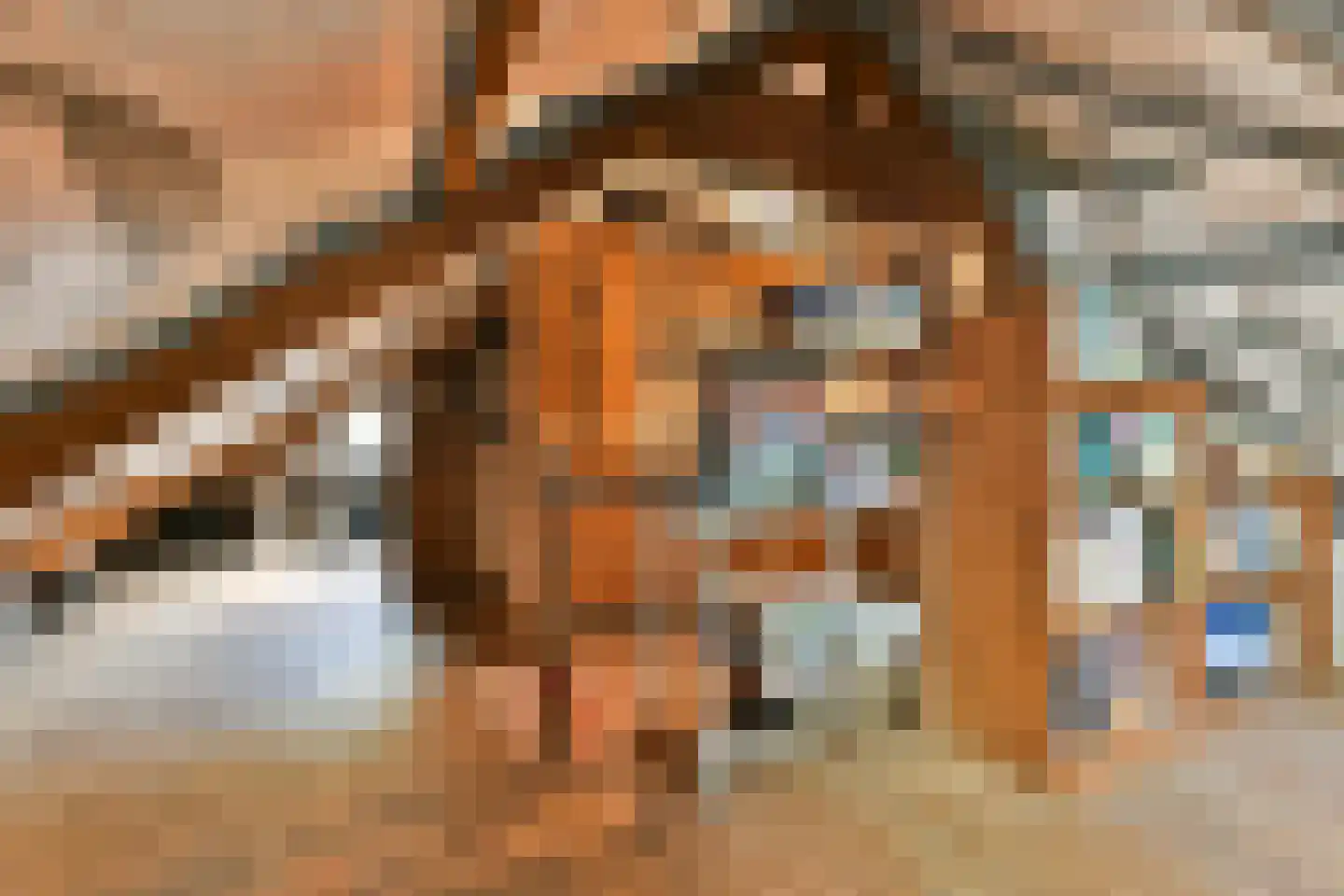 Rembrandtstraat 5 Zaandam thumbnail 31