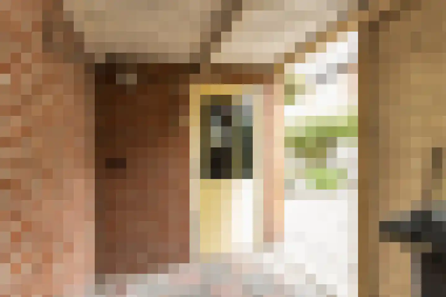 Rembrandtstraat 53 Zaltbommel thumbnail 33