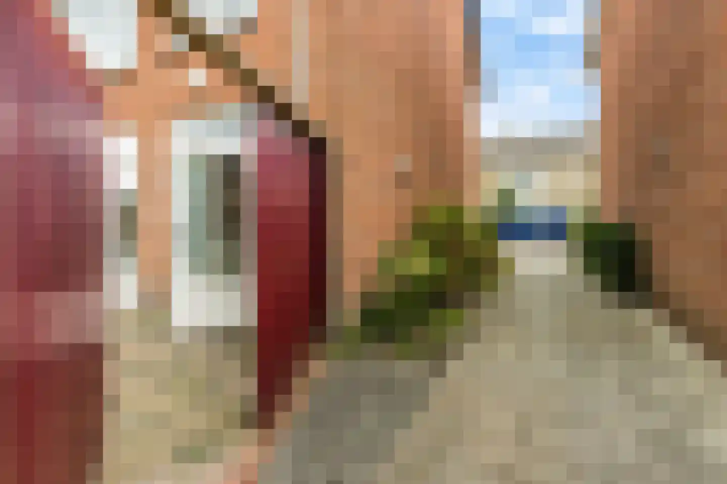 Rembrandtstraat 53 Zaltbommel thumbnail 34