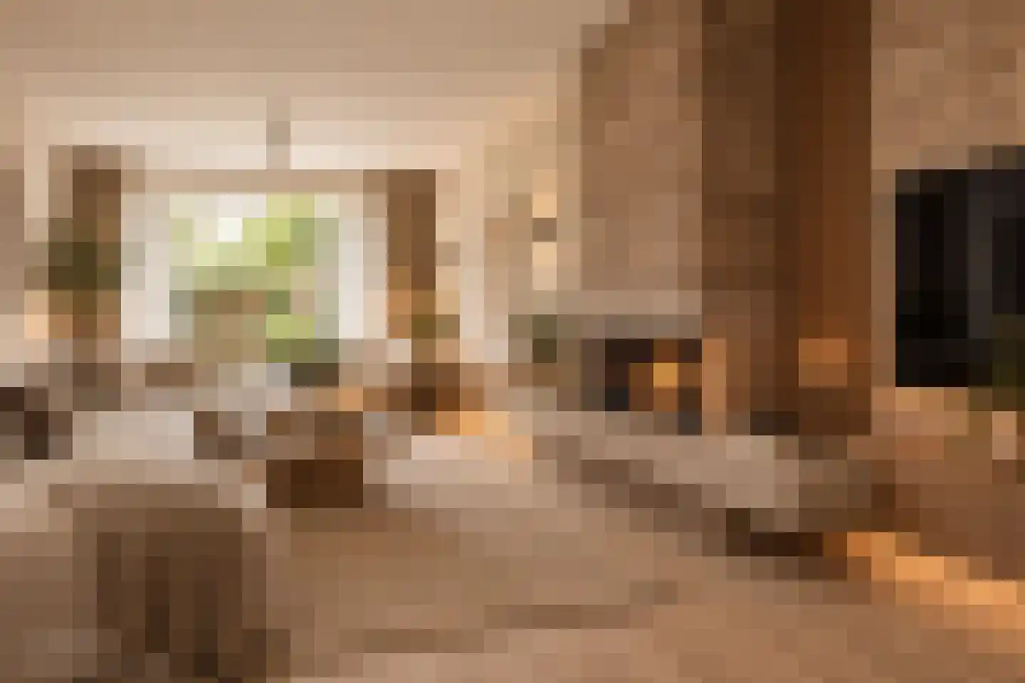 Rembrandtstraat 53 Zaltbommel thumbnail 7