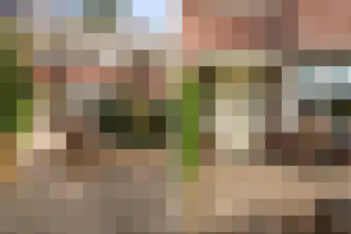 Rembrandtstraat 54 Alkmaar thumbnail 7
