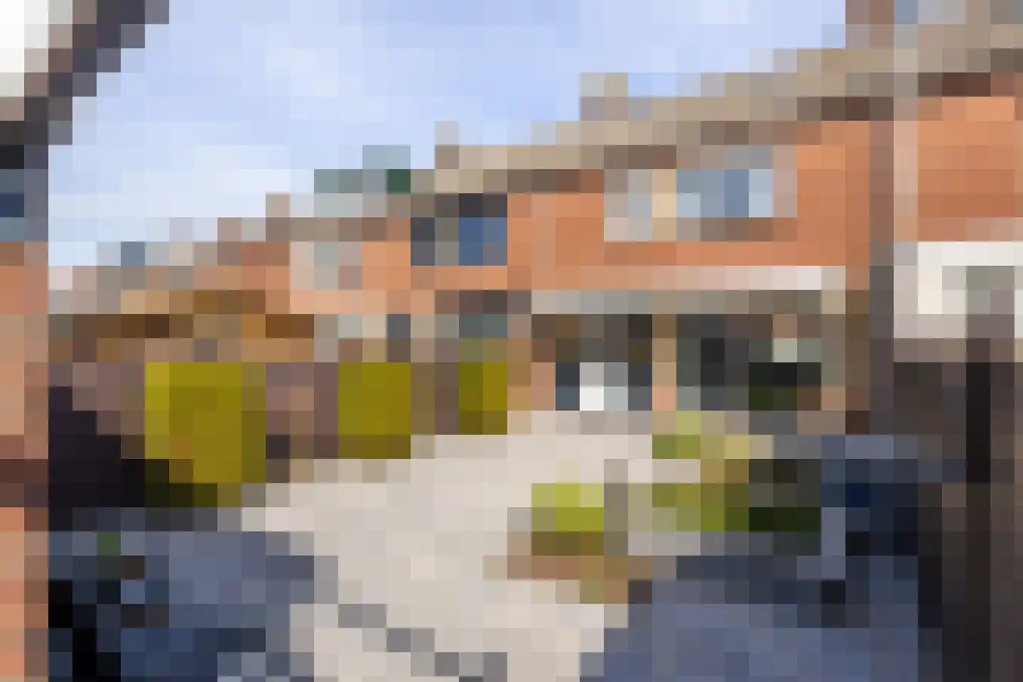 Rembrandtstraat 55 Hardinxveld-Giessendam thumbnail 26