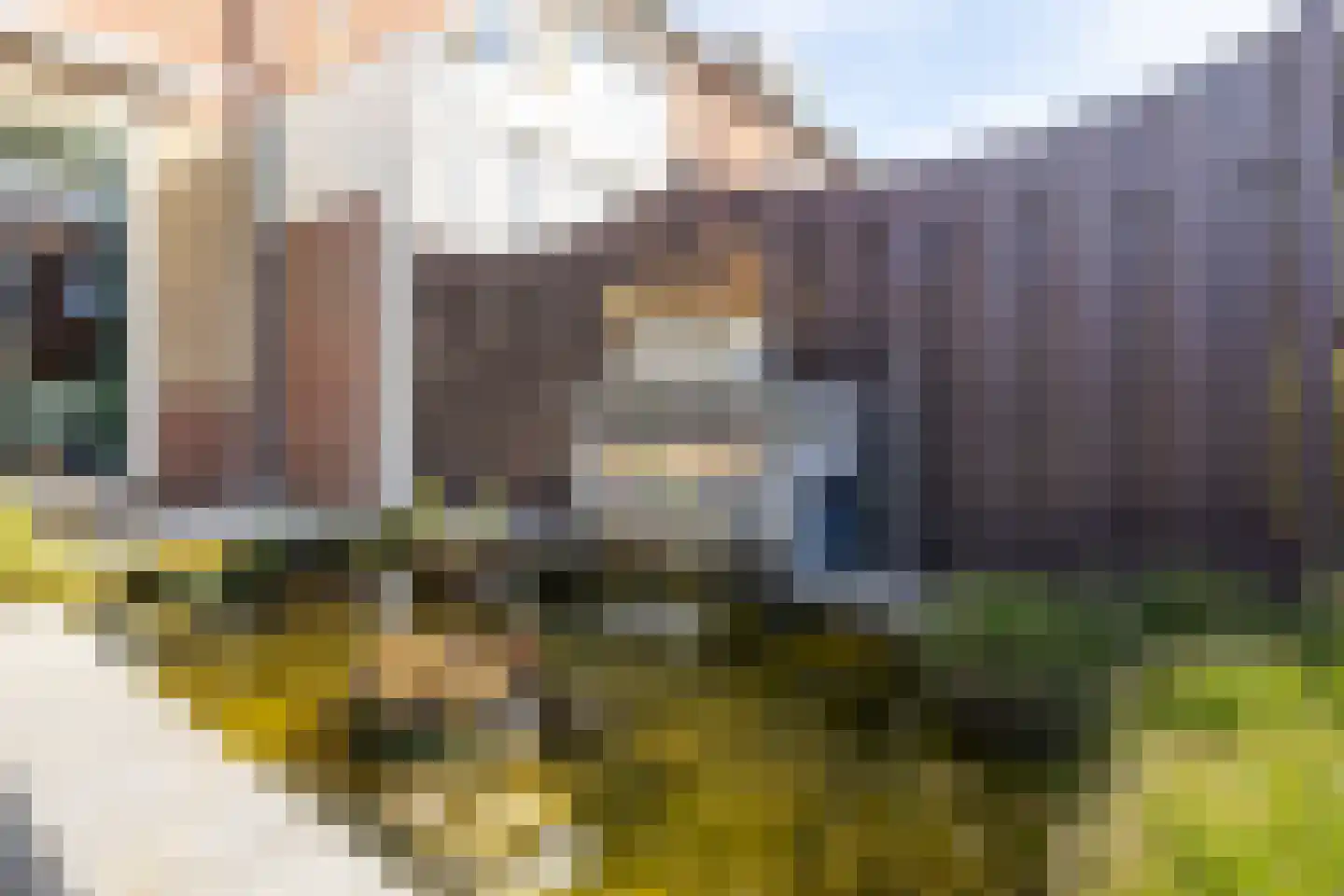 Rembrandtstraat 55 Hardinxveld-Giessendam thumbnail 27