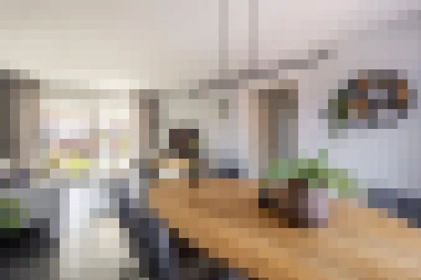 Rembrandtstraat 55 Hardinxveld-Giessendam thumbnail 7