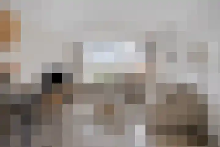 Rembrandtstraat 56 in Zoetermeer