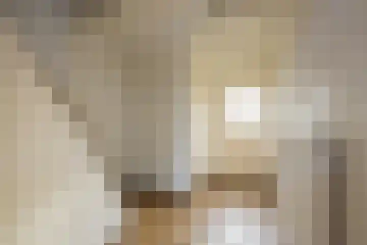 Rembrandtstraat 56 Voorthuizen thumbnail 12