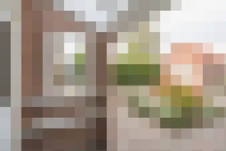 Rembrandtstraat 56 Voorthuizen thumbnail 18