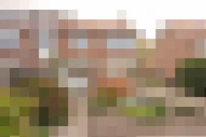 Rembrandtstraat 56 Voorthuizen thumbnail 20