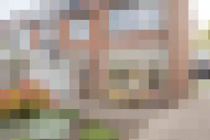 Rembrandtstraat 56 Voorthuizen thumbnail 21