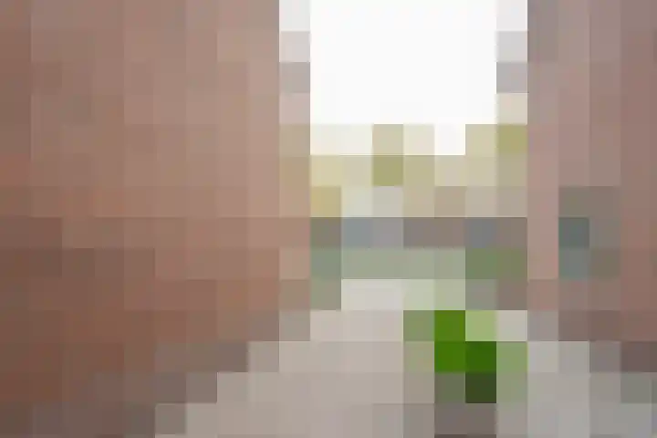 Rembrandtstraat 56 Voorthuizen thumbnail 22