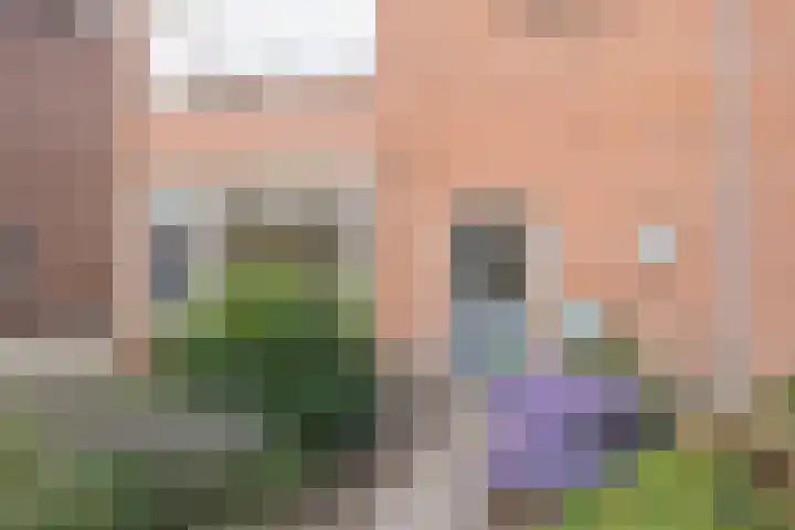 Rembrandtstraat 56 Voorthuizen thumbnail 5