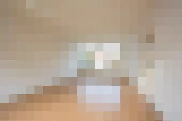 Rembrandtstraat 56 Voorthuizen thumbnail 7