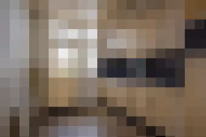 Rembrandtstraat 56 Voorthuizen thumbnail 9