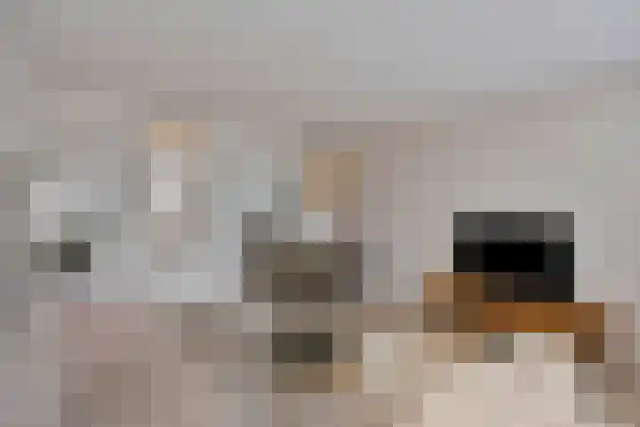 Rembrandtstraat 56 Zoetermeer thumbnail 11