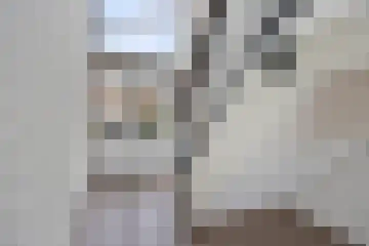 Rembrandtstraat 56 Zoetermeer thumbnail 26