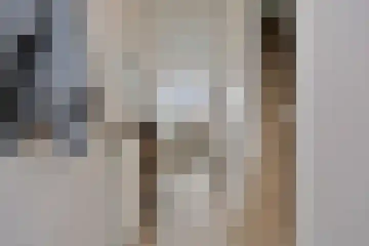 Rembrandtstraat 56 Zoetermeer thumbnail 8